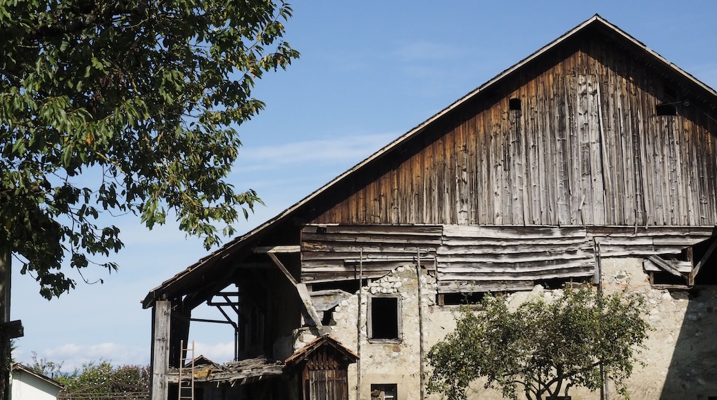 Detalle de Boringes (Francia)