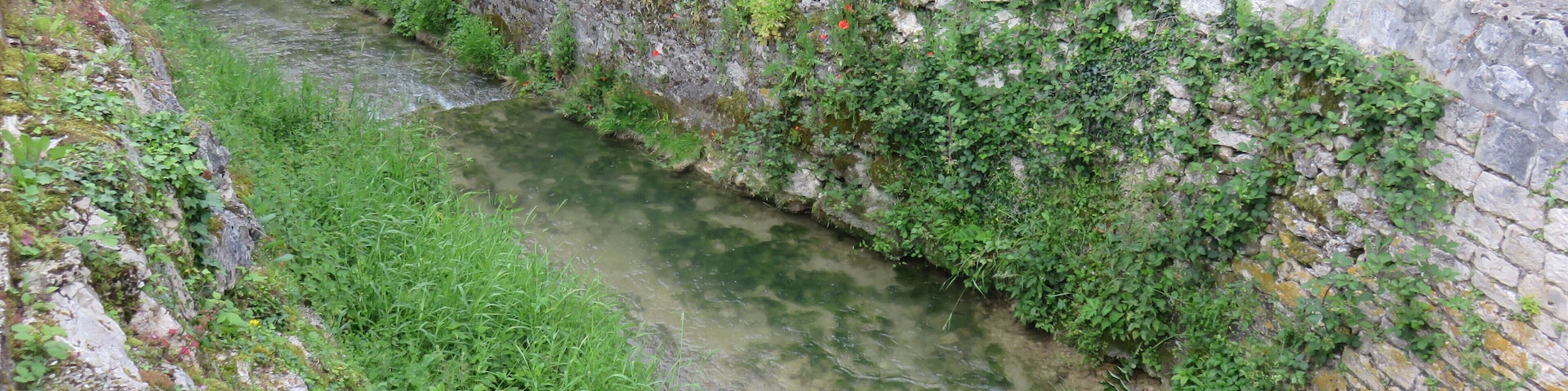 La Petite Barguelonne à Saint-Daunès (Lot, France).