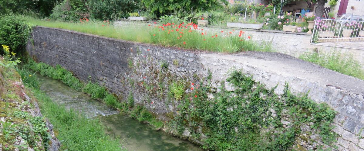 A narrow, stone-lined water channel with overgrown vegetation and red poppies.
