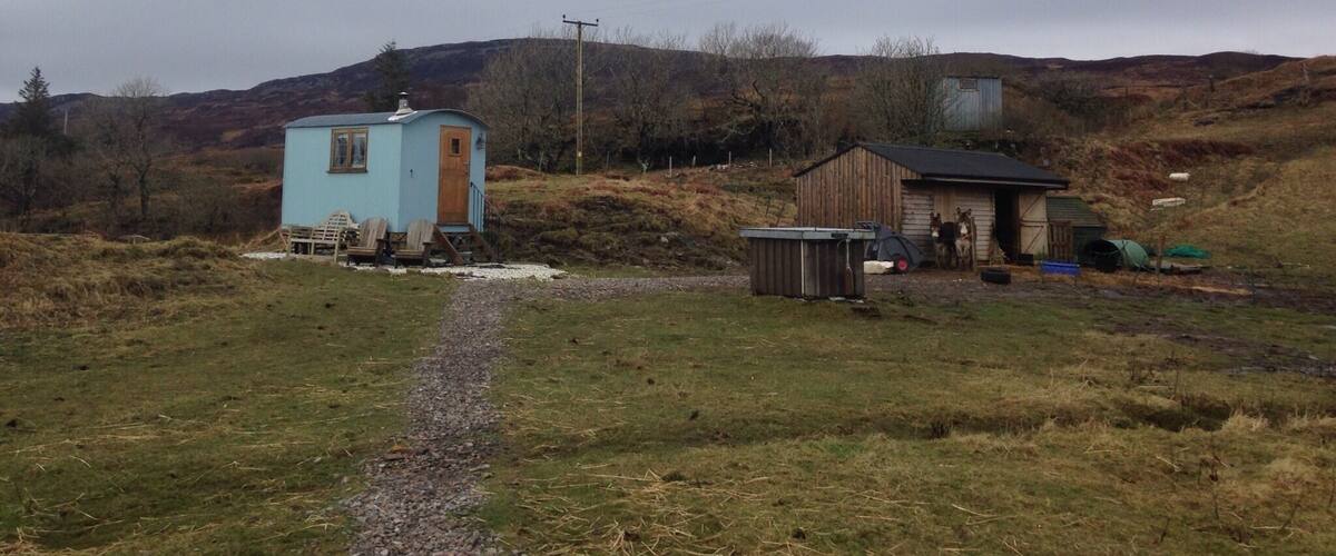 A rural landscape with a small blue cabin, a wooden shed, and a gravel path leading through the field.