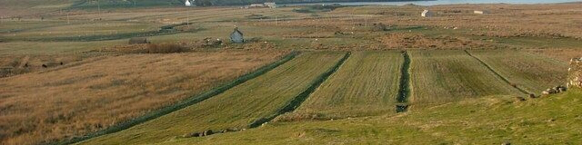 Grazing Land at Balmaqueen Looking towards The Aird and Kilmaluag Bay.