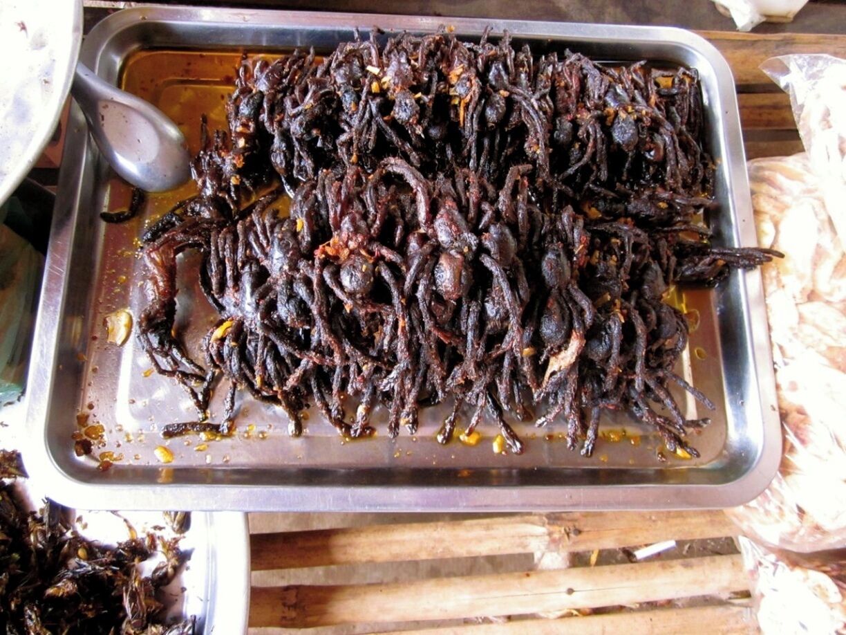 Skun, Skuon or Spiderville is centrally located in Cambodia.  Here is the place to try those exotic bugs.

Those hairy-bug-eating eight-legged venomous arachnids called Tarantulas.   First thought was – “Am I going to die from eating this thing?”  Second thought was other people have done it and they lived, so hook me up!  They didn’t look too furious.  In fact, their appearance was quite like a gummy spider.  However, once I had the spider in my hands – I could tell they were cooked in some heavy oil leaving a very greasy feeling on my fingers.  Then I ripped the little guy into two section and looked inside – not much to it.  I could feel my stomach throb just a bit at the thought of putting this creature into my mouth.  “Hesitation kills” as I like to say, so in with the spider.  Crunch crunch and more crunch crunch and more crunch crunch – hmmm there is a lot of fiber in this little guy.  Have you every eaten a piece of celery that seems to last forever?  Well image for a moment you are eating greasy celery, now think of what you are eating – yep that’s a frakkin spider in my mouth.  So what do you do with celery – you swallow it and I swallow that “tasty” hairy jumping arachnid.

BUG Appetit