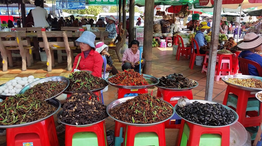 Busy market town north of Phom Phen. In province of Kampong Cham. Here you can buy and eat fried spiders, beetles, centipedes and more if you're the adventurous eater! #southeastasia #cambodia #markets #lifeisnow
