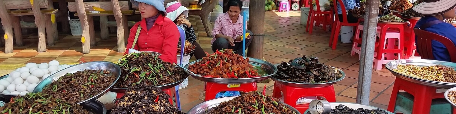 Busy market town north of Phom Phen. In province of Kampong Cham. Here you can buy and eat fried spiders, beetles, centipedes and more if you're the adventurous eater! #southeastasia #cambodia #markets #lifeisnow