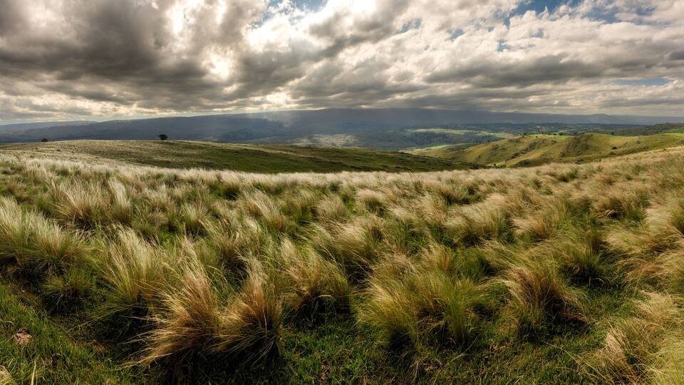 Rolling hills with tall grass and a cloudy sky.