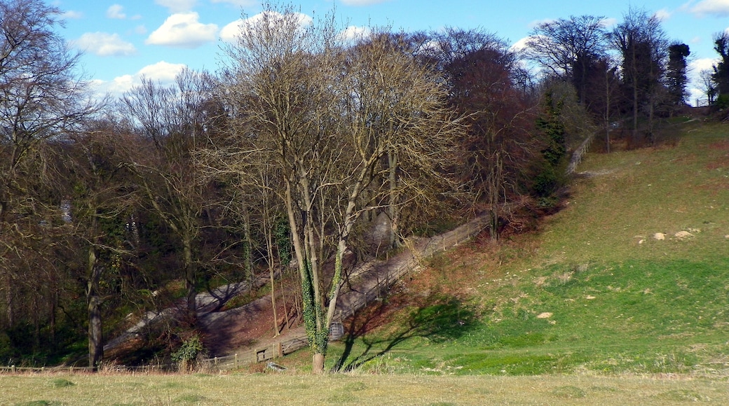 Gibbet Hill, Weston Hills Local Nature Reserve, Baldock, Hertfordshire.