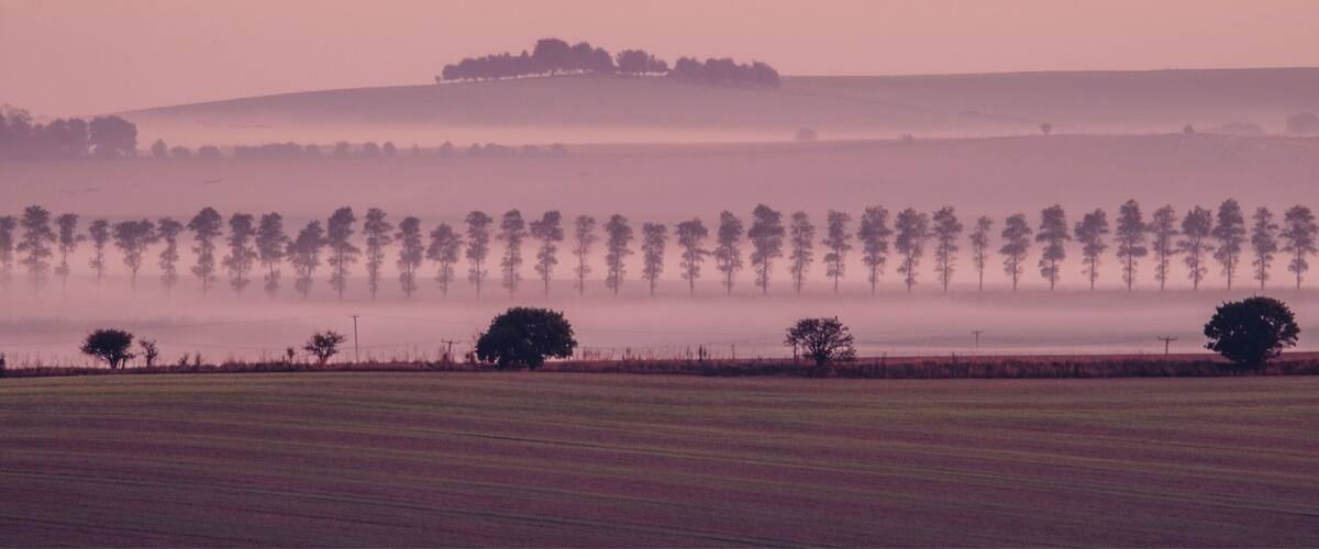 A misty landscape with a row of trees and a hill in the distance.