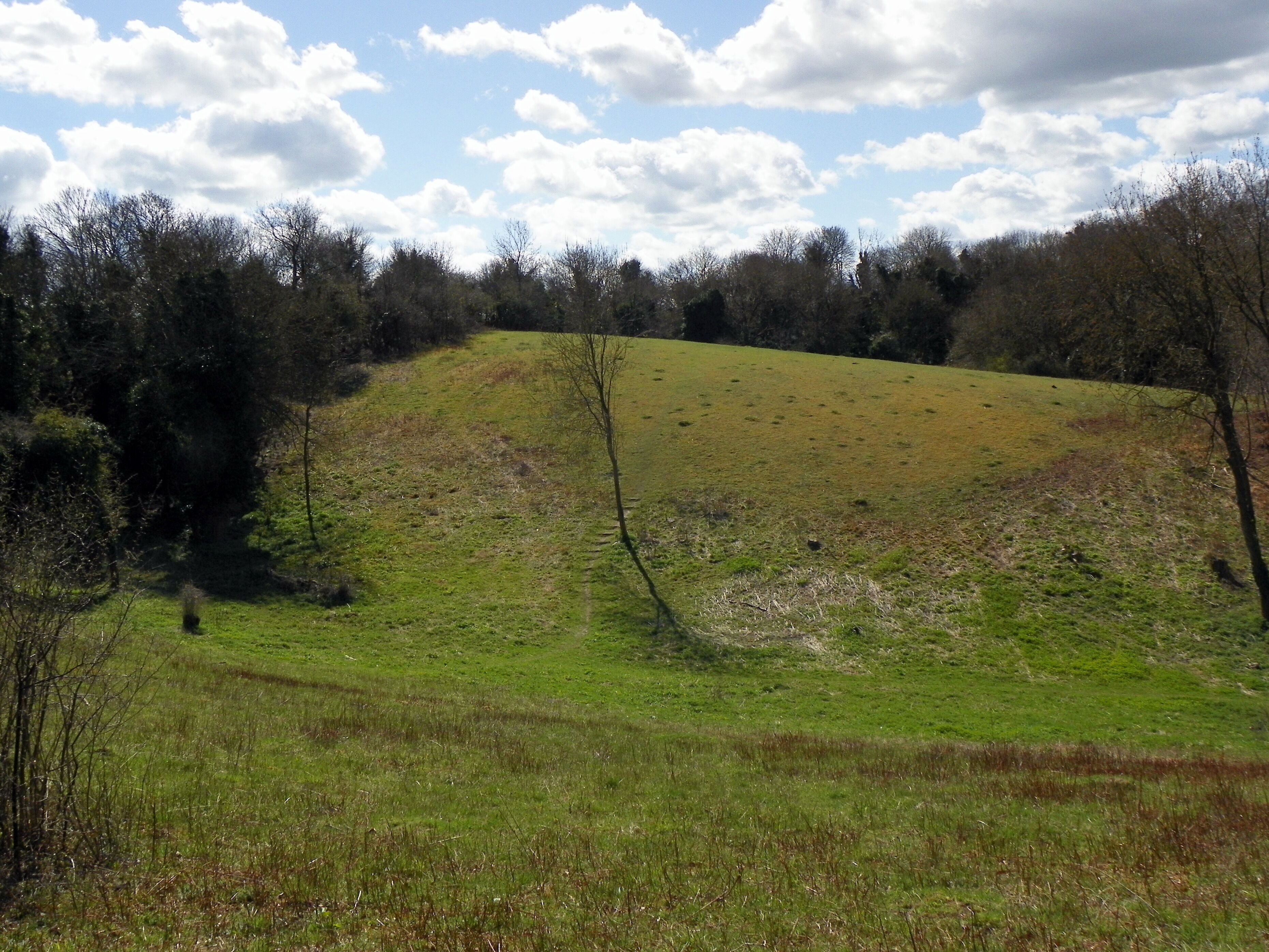 Gibbet Hill, Weston Hills Local Nature Reserve, Baldock, Hertfordshire.