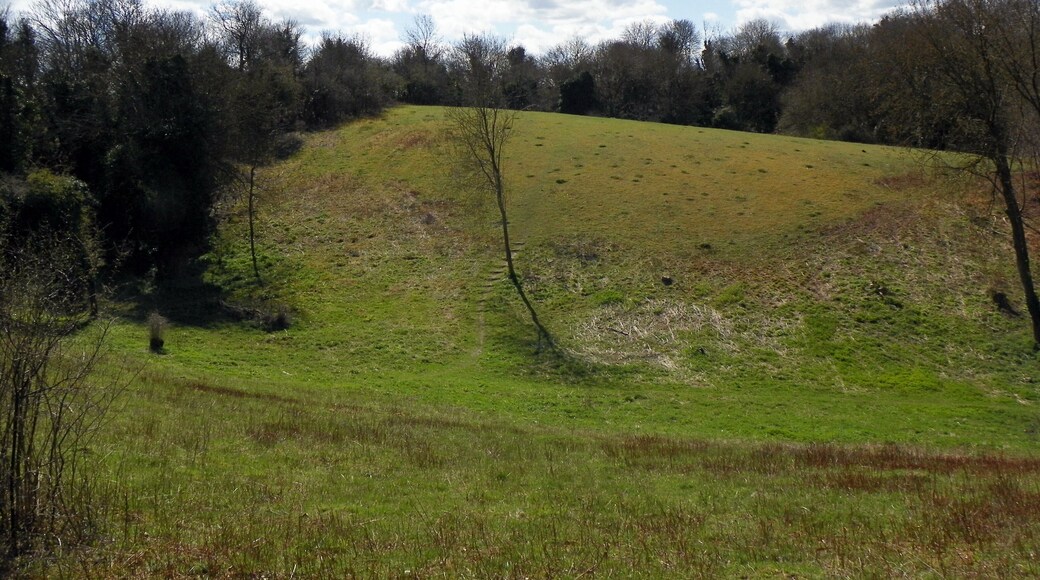 Gibbet Hill, Weston Hills Local Nature Reserve, Baldock, Hertfordshire.