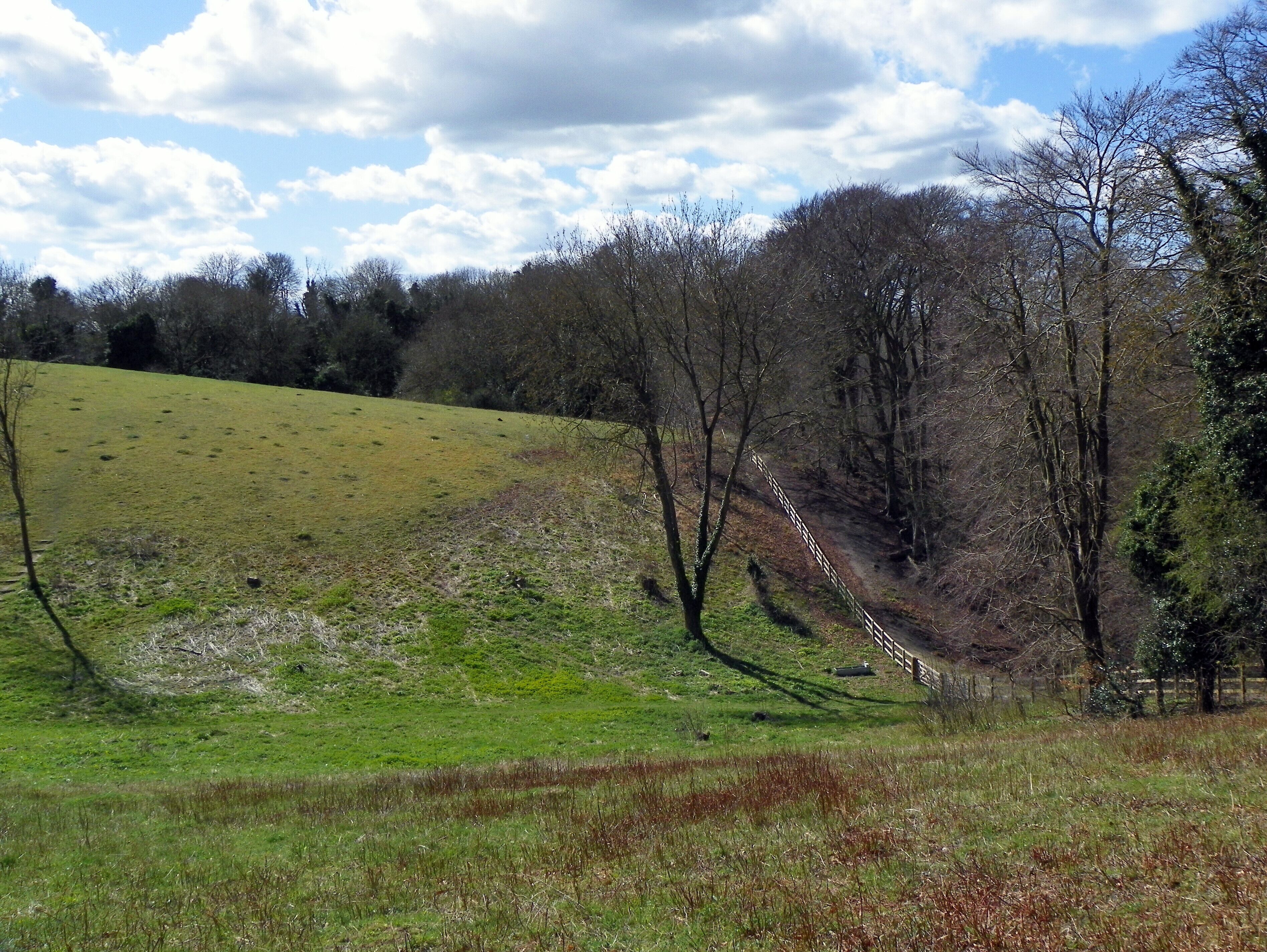 Gibbet Hill, Weston Hills Local Nature Reserve, Baldock, Hertfordshire.