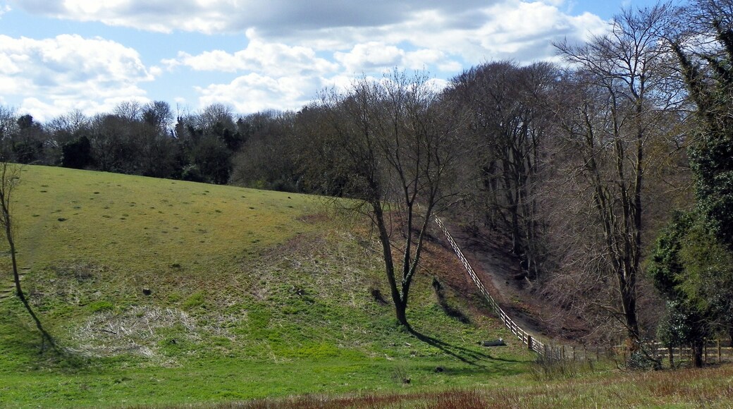 Gibbet Hill, Weston Hills Local Nature Reserve, Baldock, Hertfordshire.