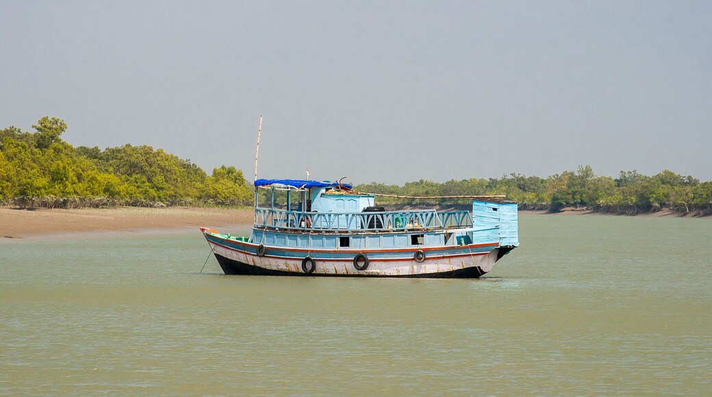 Sundarban