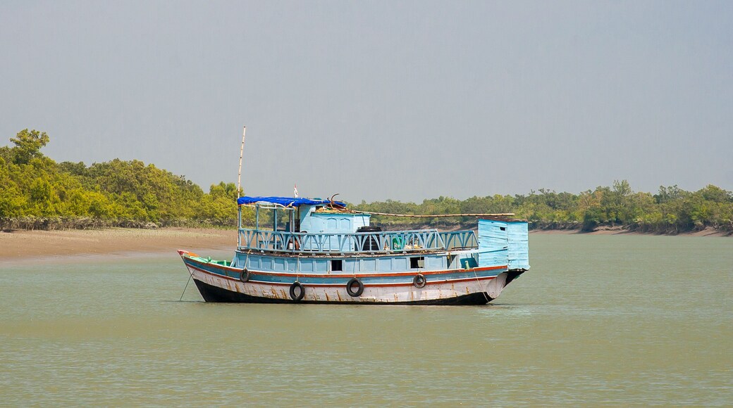 Sundarban