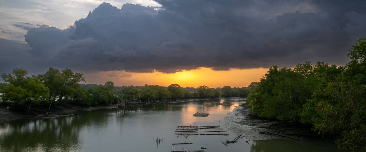 A river with wooden structures and dense foliage under a cloudy sky.