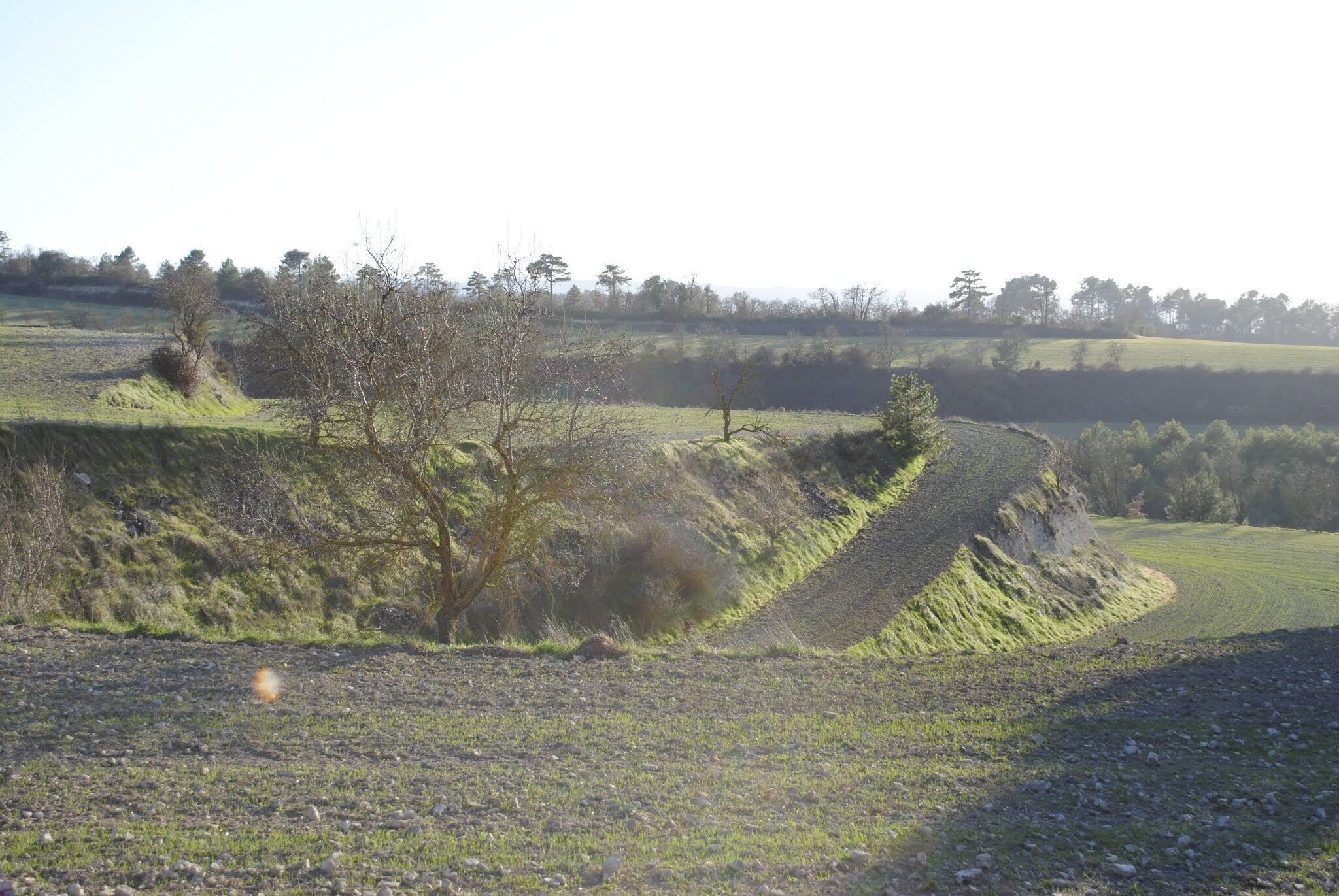 Montmaneu, 08717, Barcelona, Spain