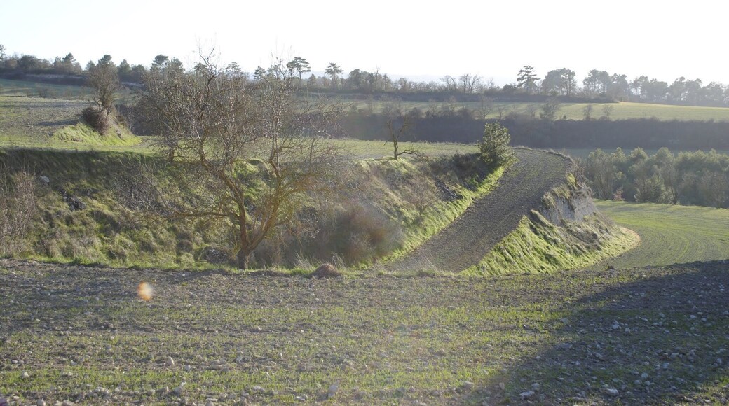 Montmaneu, 08717, Barcelona, Spain