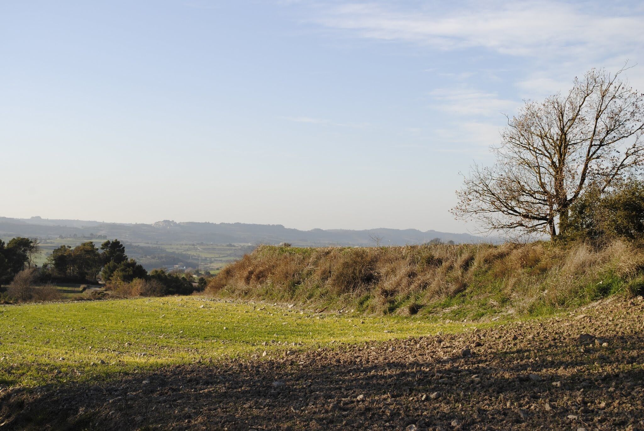 Montmaneu, 08717, Barcelona, Spain