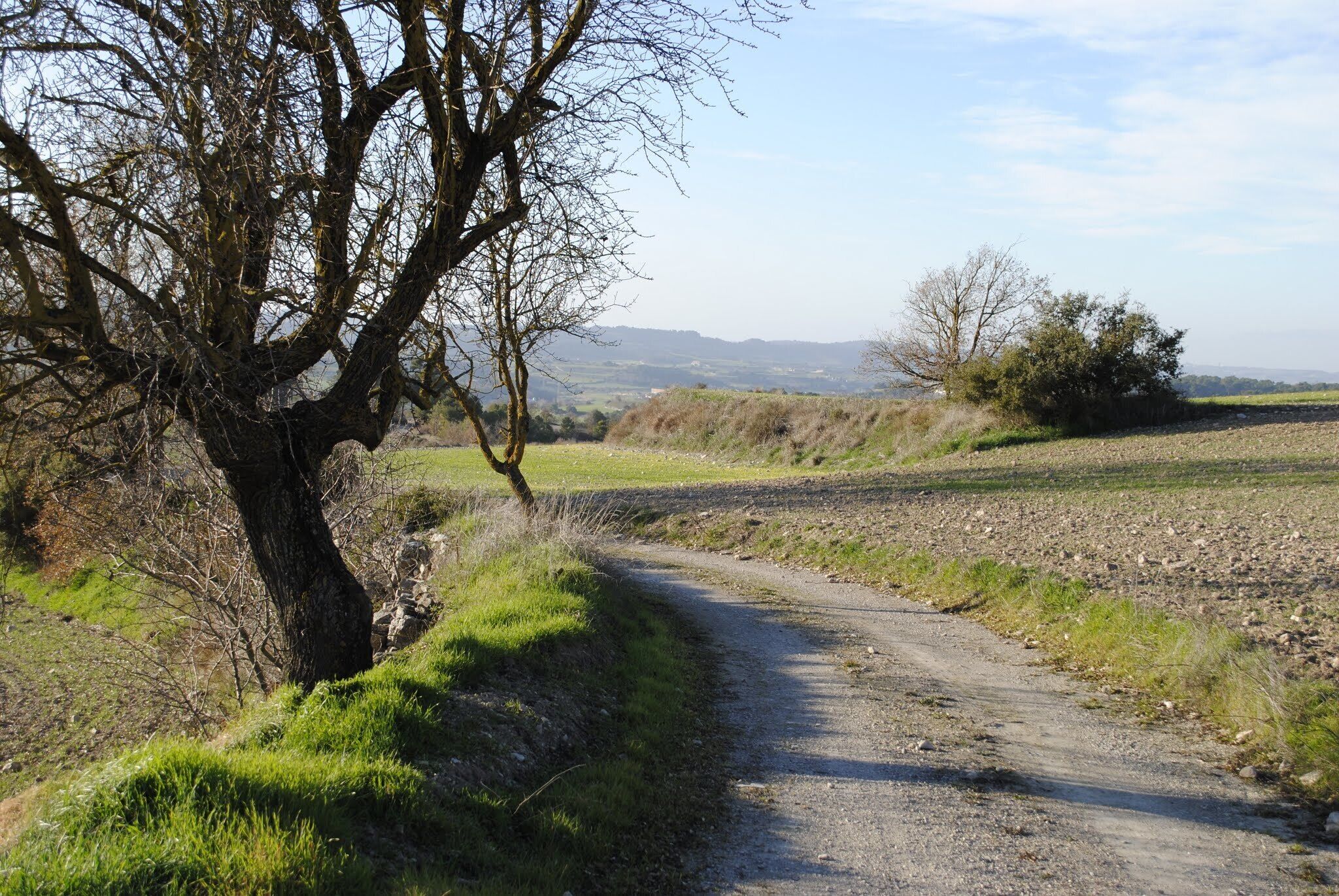 Montmaneu, 08717, Barcelona, Spain