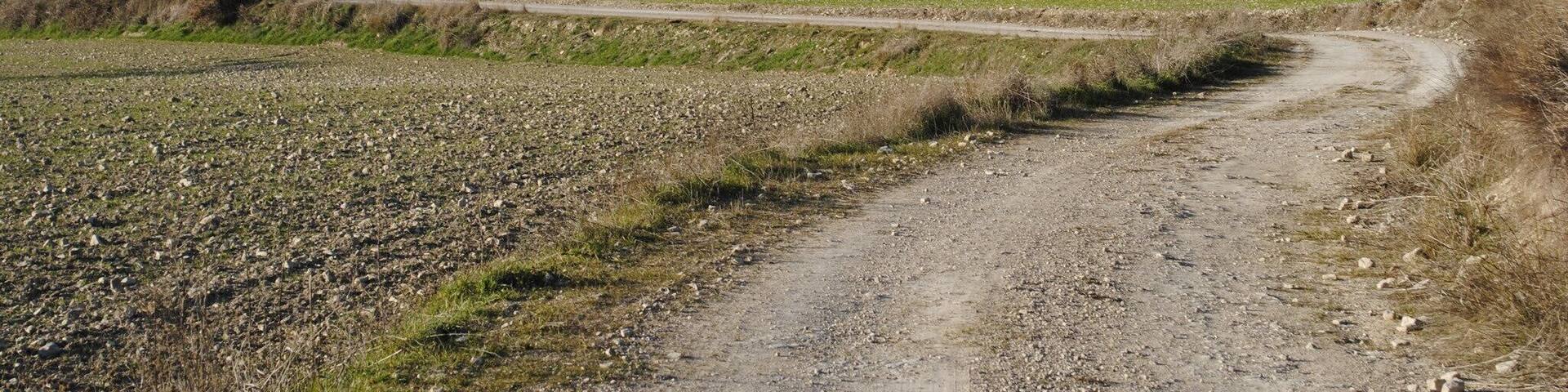 Montmaneu, 08717, Barcelona, Spain