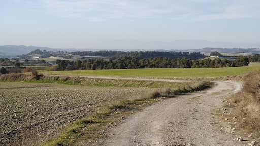 Montmaneu, 08717, Barcelona, Spain