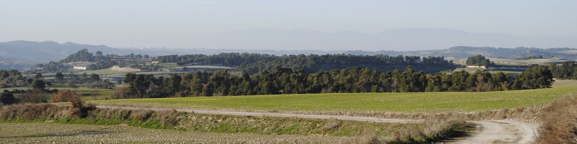 Montmaneu, 08717, Barcelona, Spain