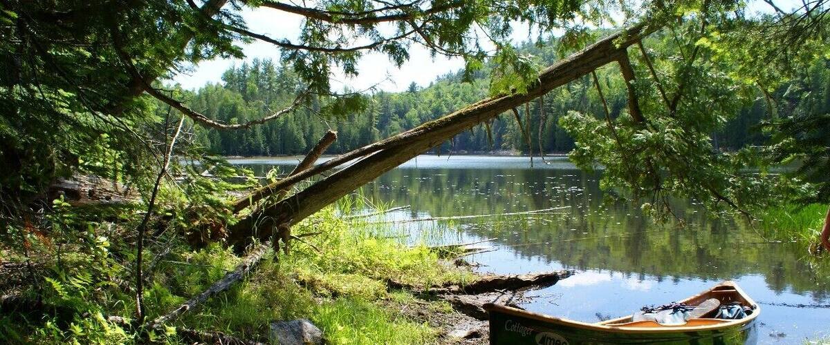 Another great canoe camping trip around Lac Poisson Blanc, Quebec! Here we're just getting the canoe unloaded for a short portage.