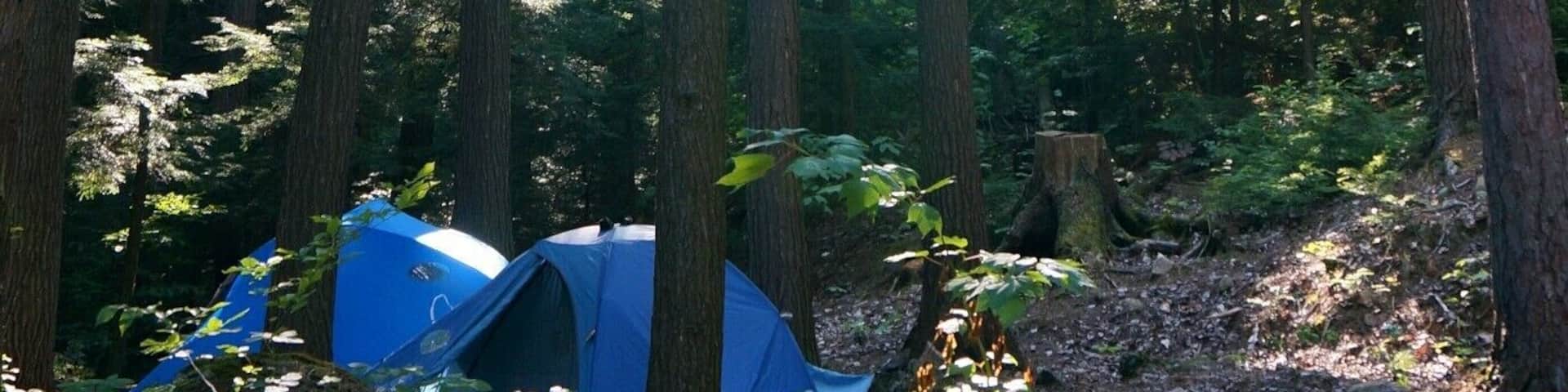 Summer meaning camping and I just love this shot I took last year at one of our favorite campsites. #hiking