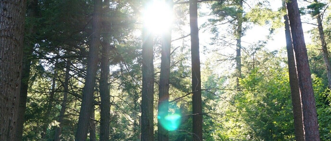 Summer meaning camping and I just love this shot I took last year at one of our favorite campsites. #hiking