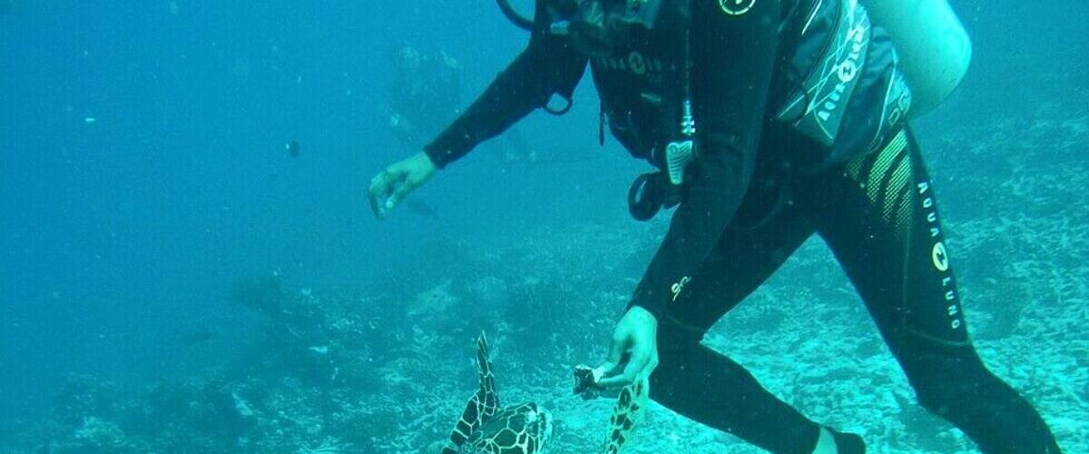 A diver interacting with a sea turtle on a coral reef.