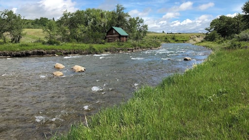 The Crowsnest River, a tributary to the Oldman River in southwestern Alberta, is a highly productive river with a substantial insect population that fuels a world-class sport fishery. (July 2019)
#Nature #MyBackyard