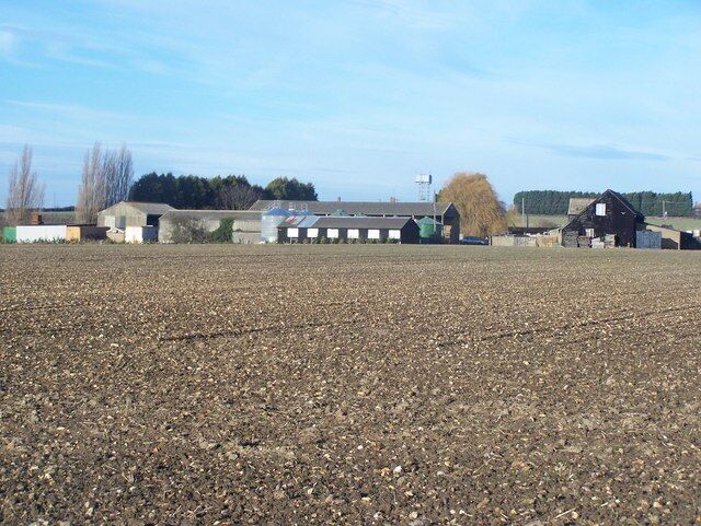 Newhall Farm, Allhallows Seen from New Hall Farm Lane. Water Tower on Ratcliffe Highway (TQ8277) seen in background, in middle of photo.