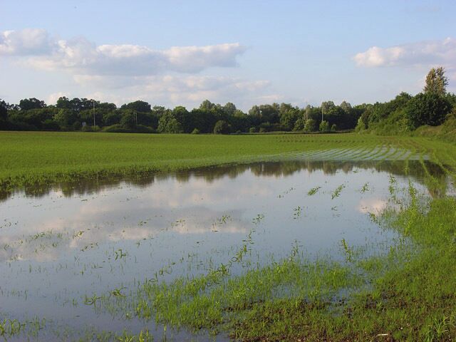 Un estanque tranquilo rodeado de campos verdes y árboles bajo un cielo parcialmente nublado.