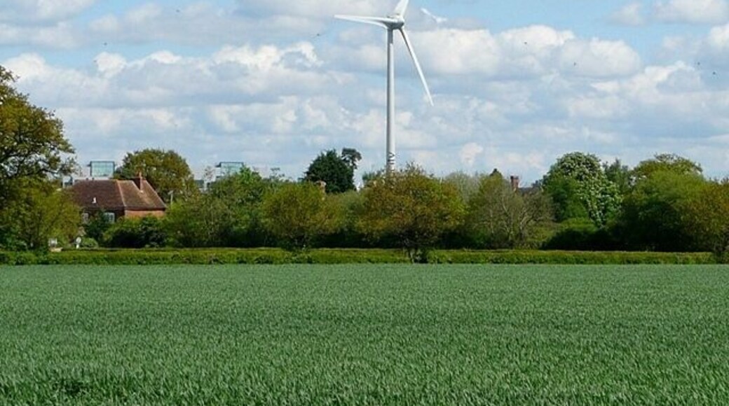 Farmland at Hartley Court This is the first bit of open farmland south of the M4. Most of the square is like this. Beyond the M4 is Green Park (the tops of some of the offices can just be seen). Oh, and the whole area is dominated by the Green Park wind turbine in SU7069