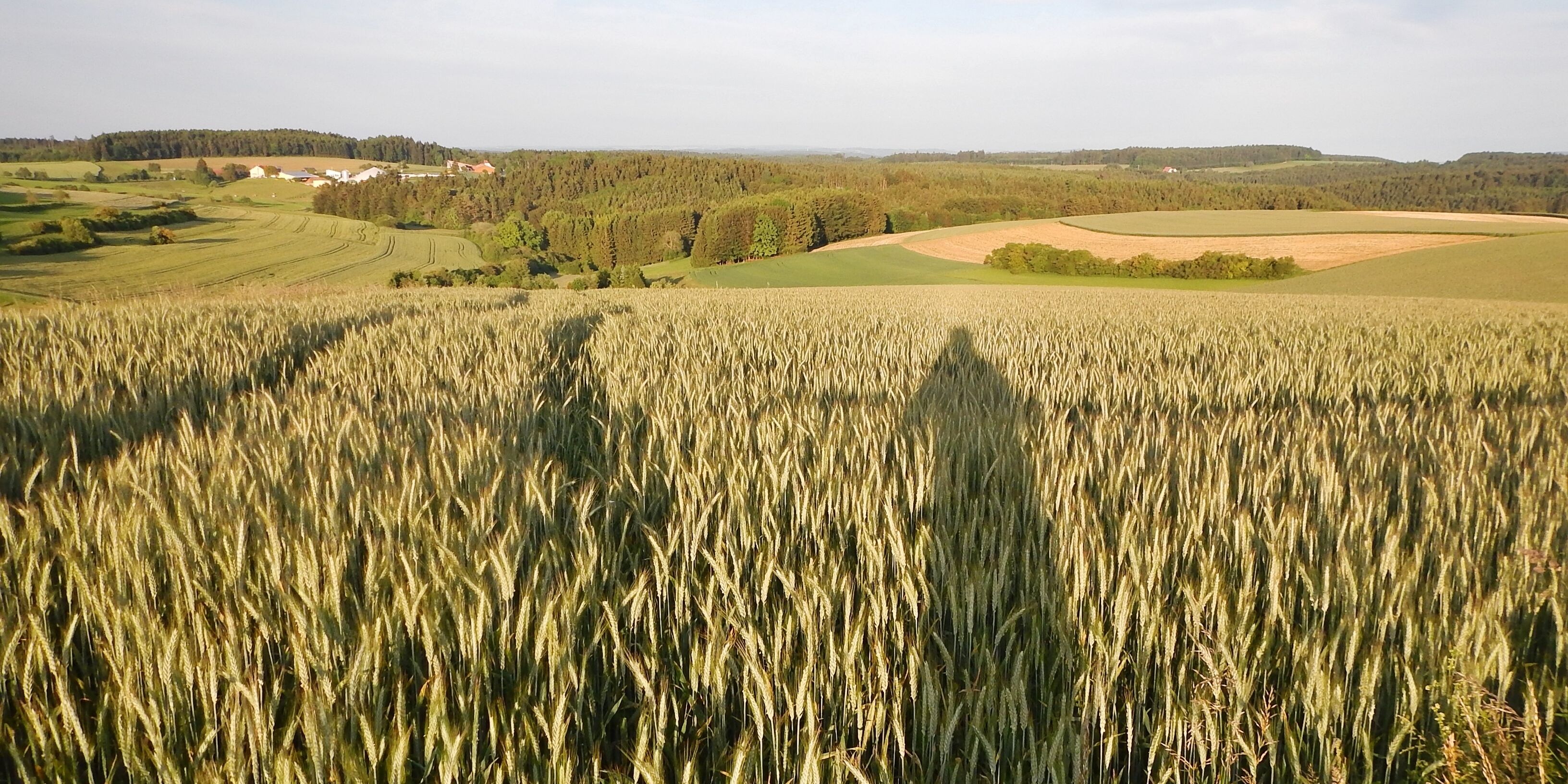 Ausblick bei Emmingen-Liptingen