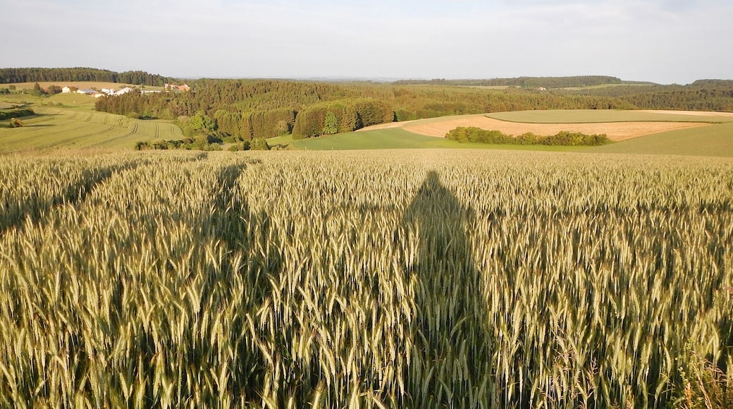 Ausblick bei Emmingen-Liptingen