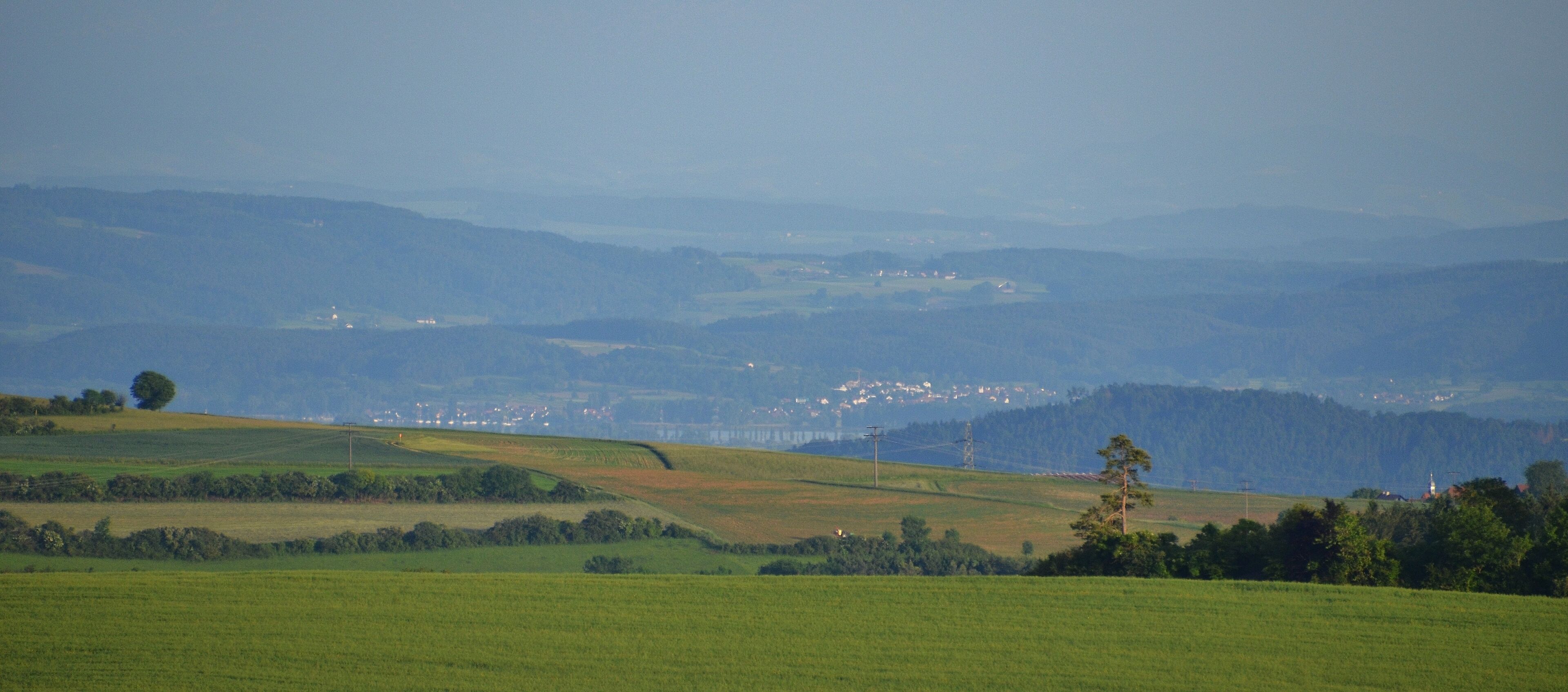 Ausblick vom Witthoh