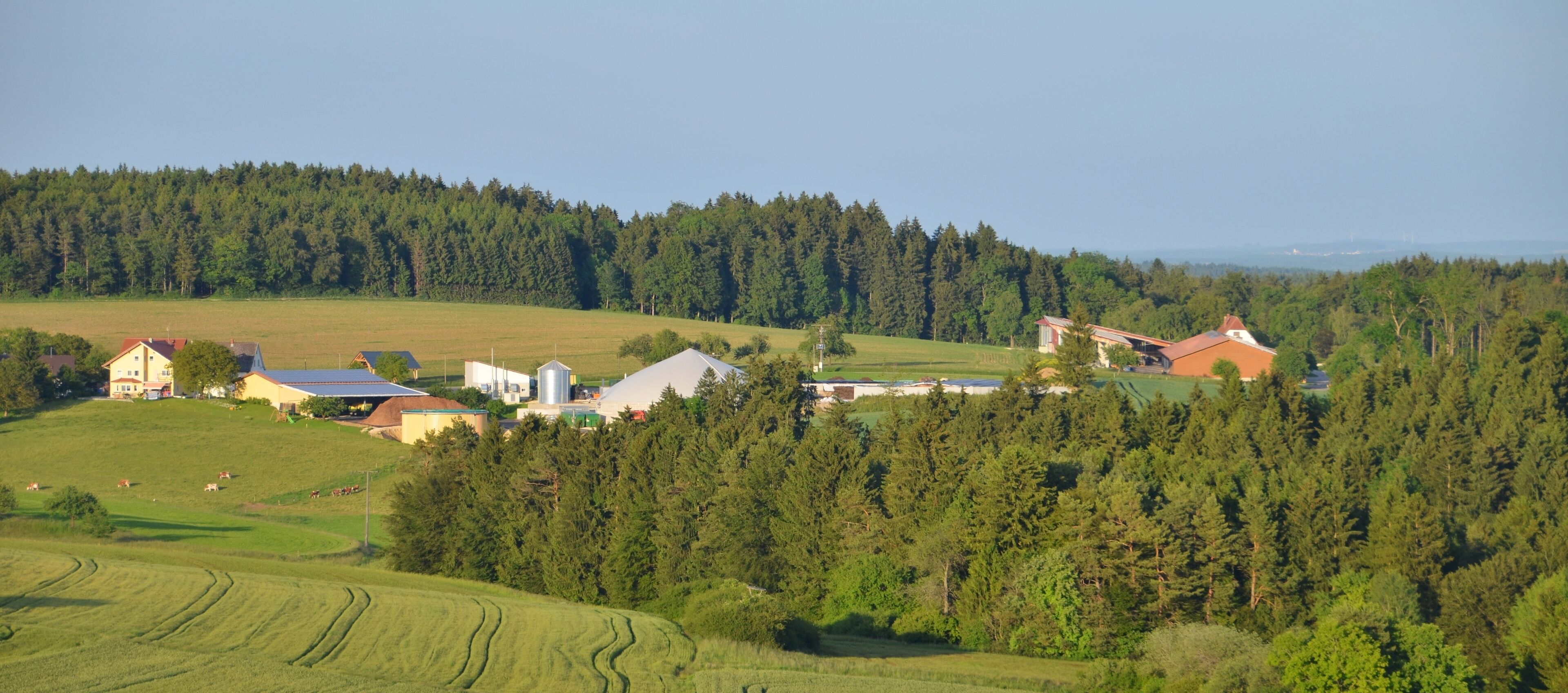 Ausblick in der Nähe vom Witthoh