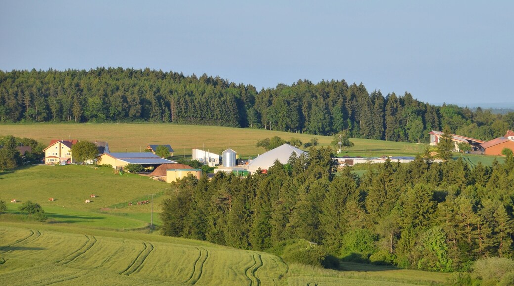 Ausblick in der Nähe vom Witthoh