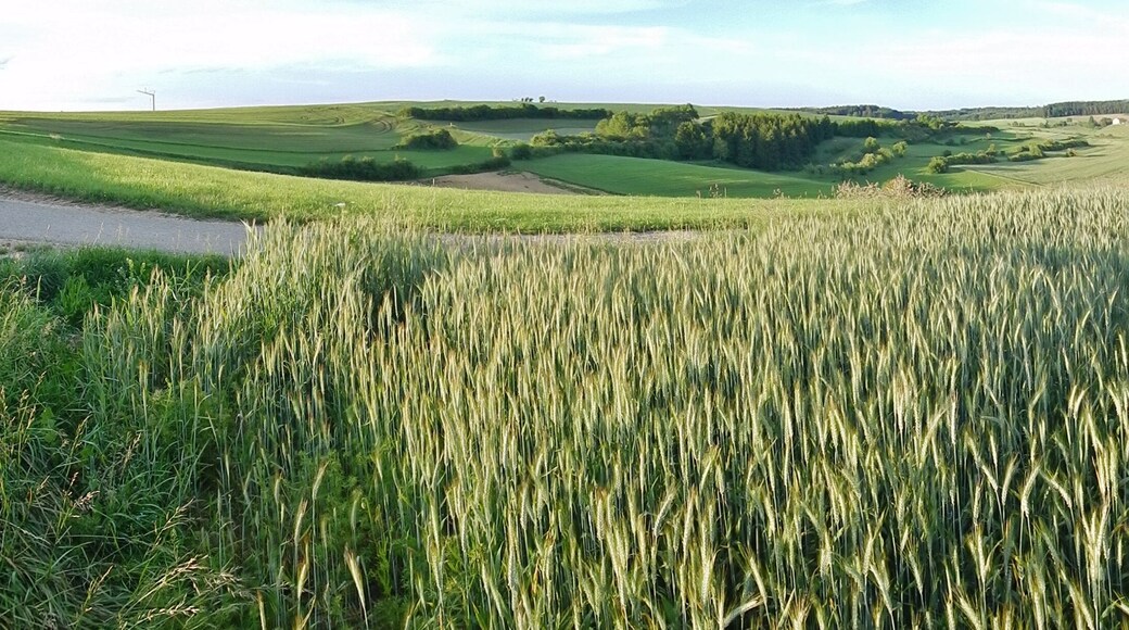 Ausblick bei Emmingen-Liptingen