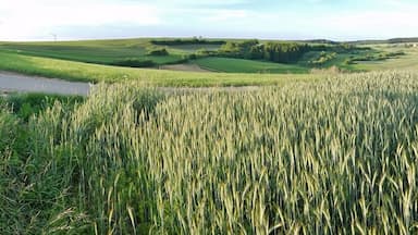 Ausblick bei Emmingen-Liptingen