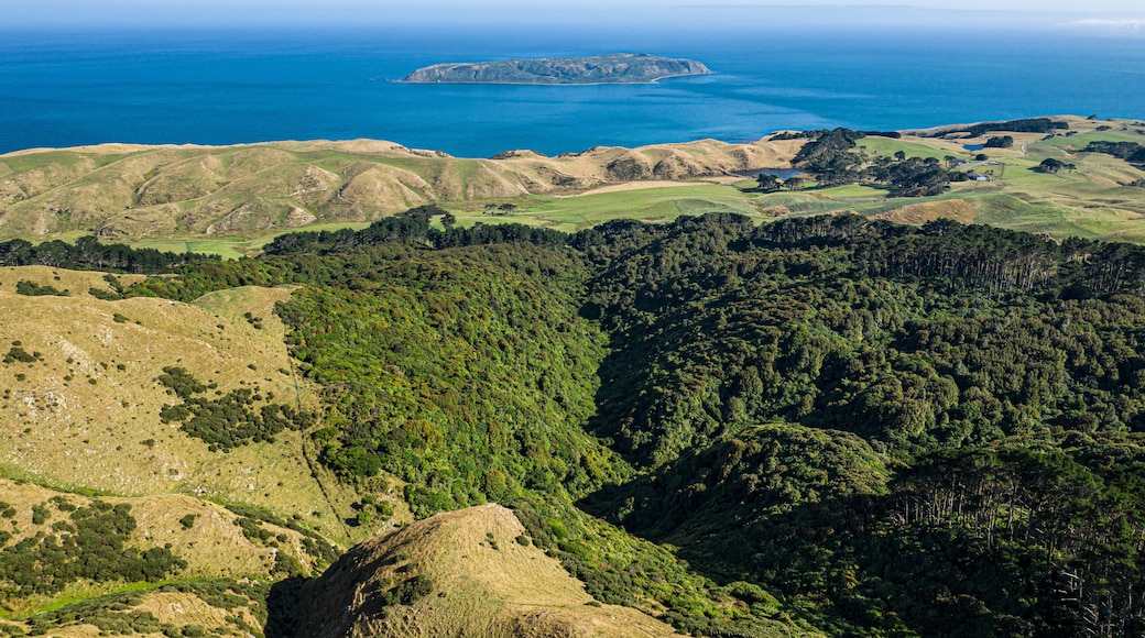 Paesaggio costiero con dolci colline, fitte foreste e un'isola in lontananza.