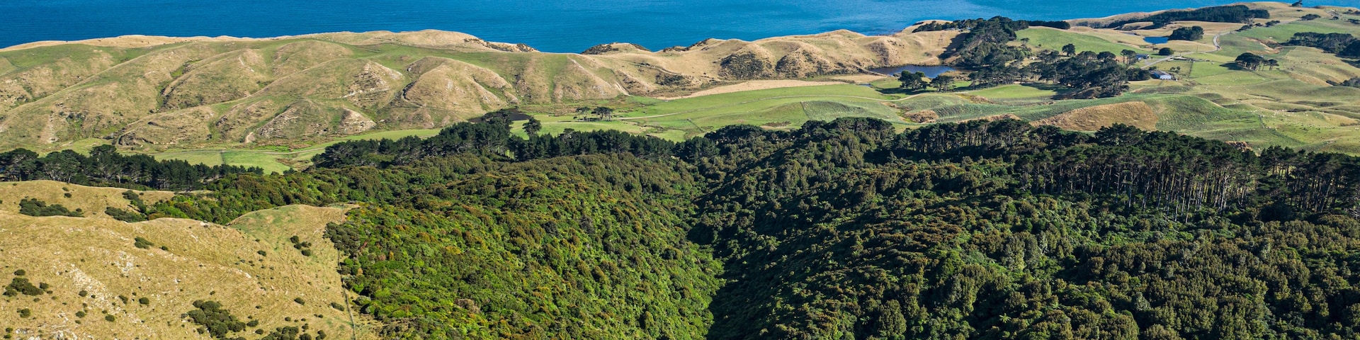 A coastal landscape with rolling hills, dense forests, and a distant island.