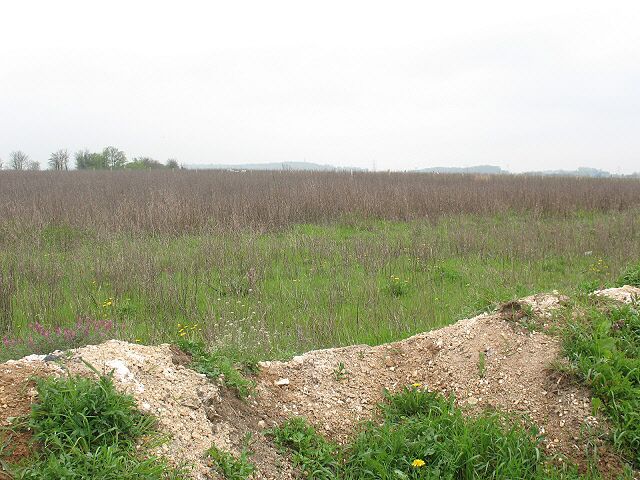 Waste ground south of Clement Street This area of land seems to be completely untended.