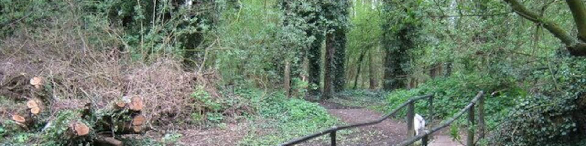 Footbridge over River Darenth (righthand side) The river form Horton Kirby/South Darenth flows towards Dartford and the Thames. But at Sutton at Hone it divides to go around an island with St John's Jerusalem (National Trust House) on. This footbridge is on a footpath from Roman Villas Road, to Main Road, Sutton at Hone.