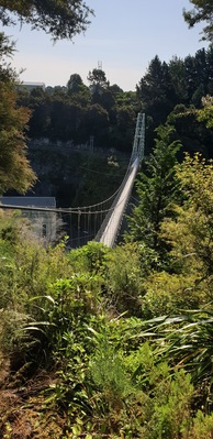 Easy parking next to the bridge great stop between Rotorua and Waitomo Caves