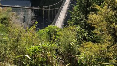 Easy parking next to the bridge great stop between Rotorua and Waitomo Caves