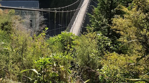 Easy parking next to the bridge great stop between Rotorua and Waitomo Caves