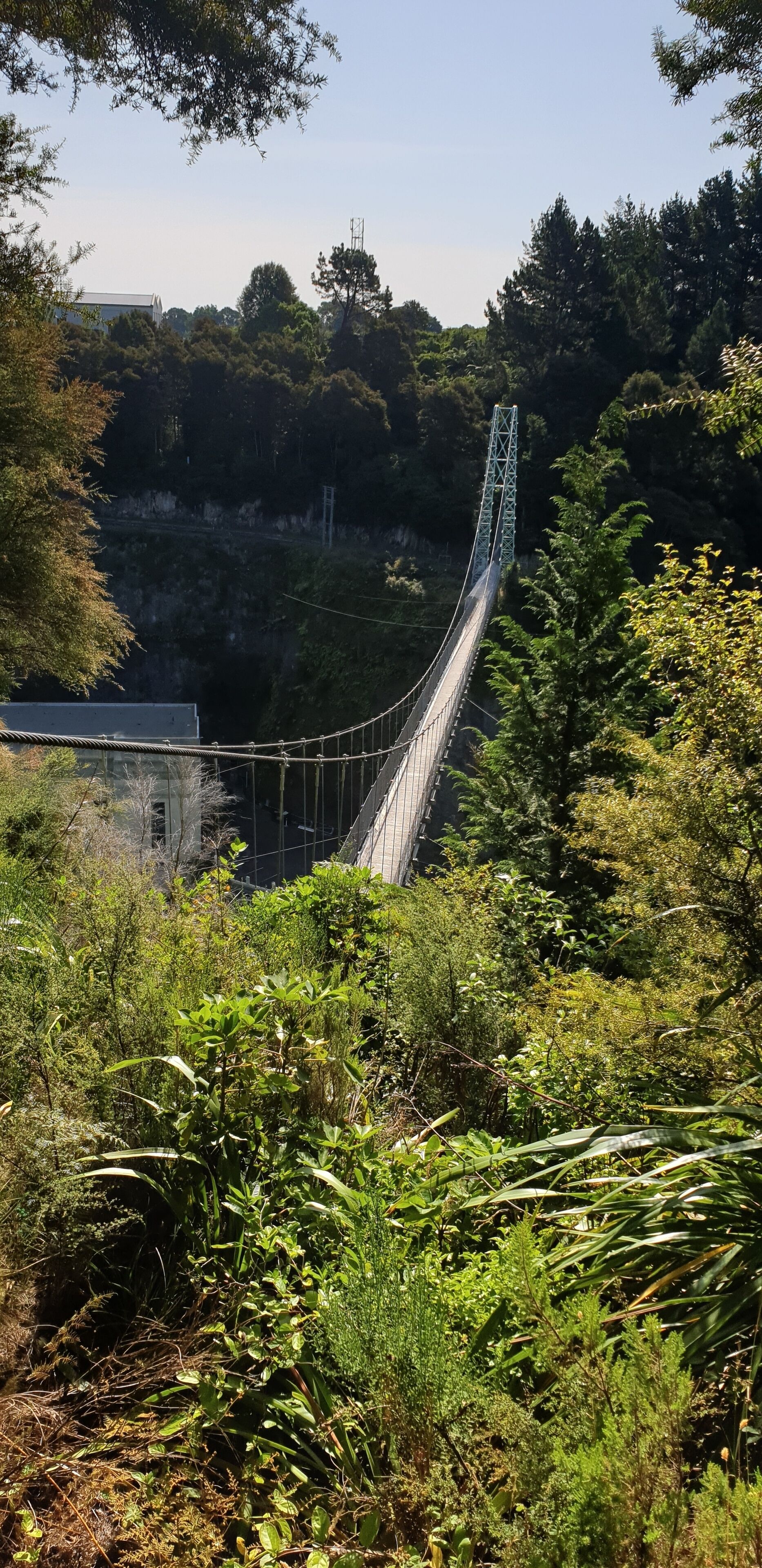 A suspension bridge surrounded by dense greenery and trees.