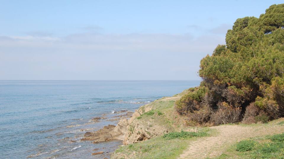 A coastal landscape with a rocky shoreline, a dirt path, and dense green vegetation.