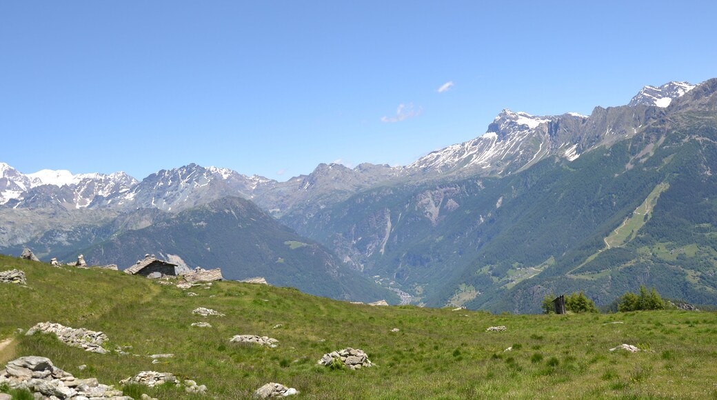 ALPE MASTABBIA sullo sfondo il PIZZO SCALINO